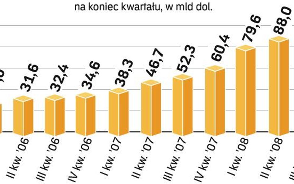 Na koniec 2008 r. dług wzrósł z powodu słabego złotego. Ekonomiści uspokajają, że na razie nie ma po