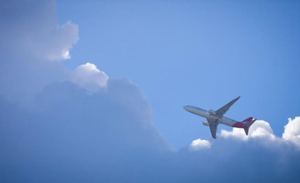 Duże linie walczą z tanimi