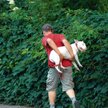 Psy w parkach powinny być na smyczy, nawet w takiej sytuacji