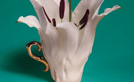 Wystawa "Flora Danica" w Łazienkach
