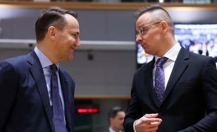 Radosław Sikorski i Péter Szijjártó