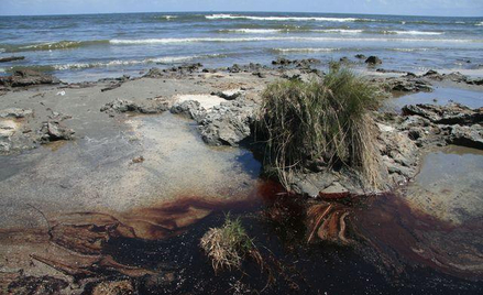 Zanieczyszczone plaże Luizjany