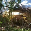 Ukraińska artyleria na pozycjach ogniowych