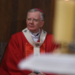 Abp Jędraszewski: Nikt o zdrowym rozsądku nie uwierzy, że brzoza jest w stanie oderwać skrzydło