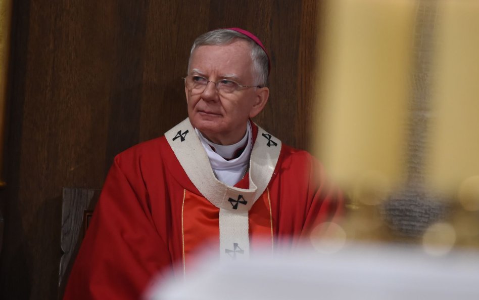 Abp Jędraszewski: Nikt o zdrowym rozsądku nie uwierzy, że brzoza jest w stanie oderwać skrzydło