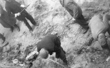 Fot. Ekshumacje ciał ofiar zamordowanych przez Niemców w 1939 r. w Piaśnicy. 7-22.10.1946