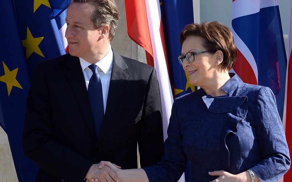 Brytyjski premier David Cameron i premier Ewa Kopacz
