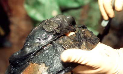 Fragment czapki z widocznym u góry policyjnym orzełkiem wydobyty podczas prac ekshumacyjnych w Miedn