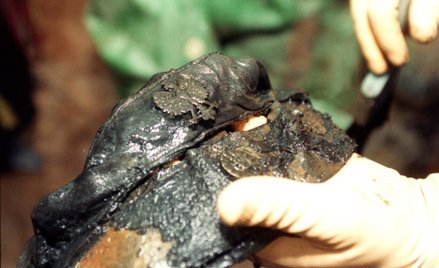 Fragment czapki z widocznym u góry policyjnym orzełkiem wydobyty podczas prac ekshumacyjnych w Miedn