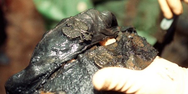 Rusza akcja „Pamiętam. Katyń 1940”. Jej symbolem są rozdawane tzw. guziki katyńskie