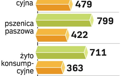 ceny zbóż w zł/tonę. Kukurydza jest prawie o połowę tańsza niż przed rokiem.