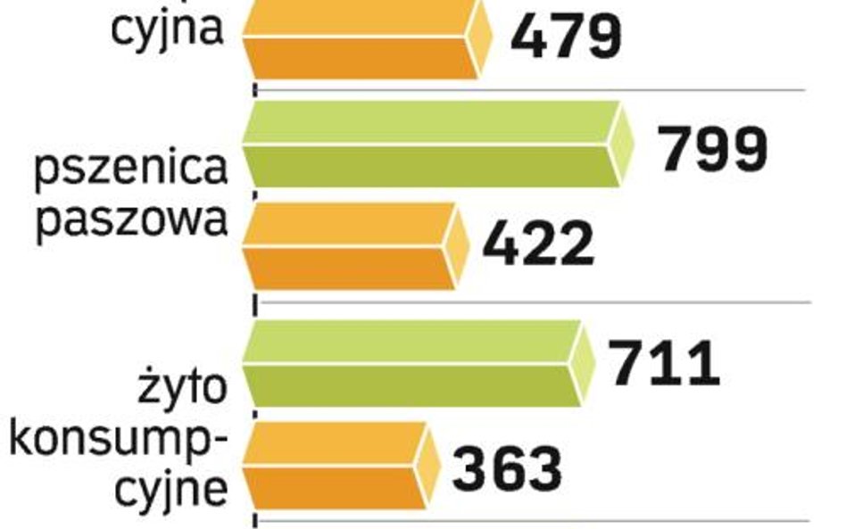 ceny zbóż w zł/tonę. Kukurydza jest prawie o połowę tańsza niż przed rokiem.