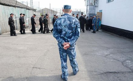 Młode wilki chcą władzy i pieniędzy