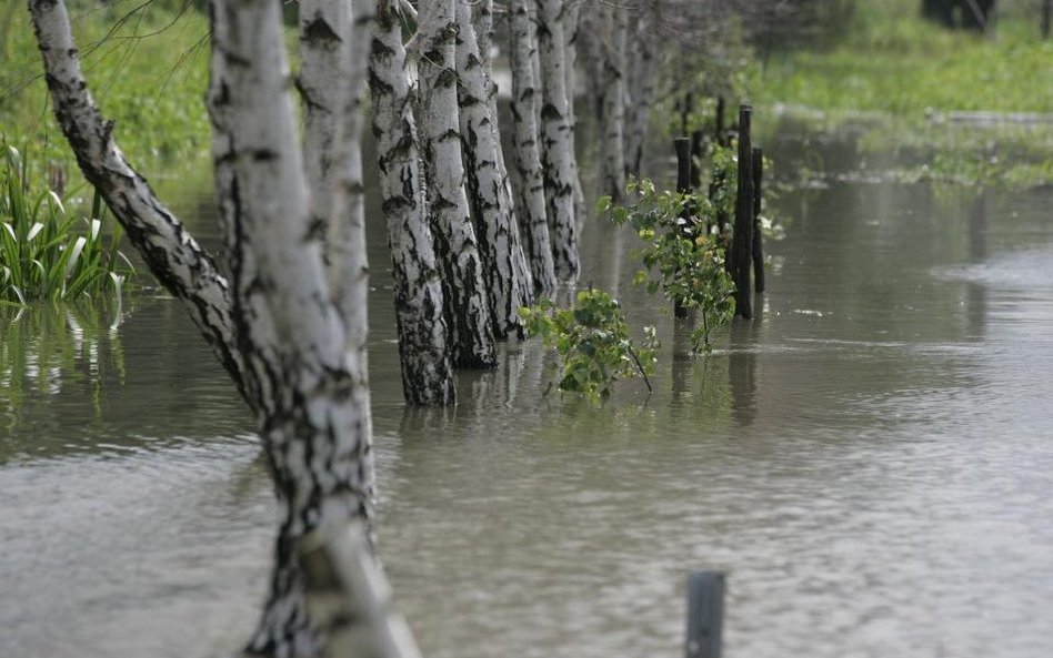 Lubelskie czeka na przyjście fali