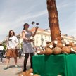 Warszawa, Krakowskie Przedmieście