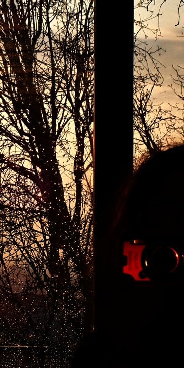 Prof. dr hab. Joanna Jurewicz: Neuroróżnorodność pomaga mi wypluwać z siebie dobre książki. Interpre