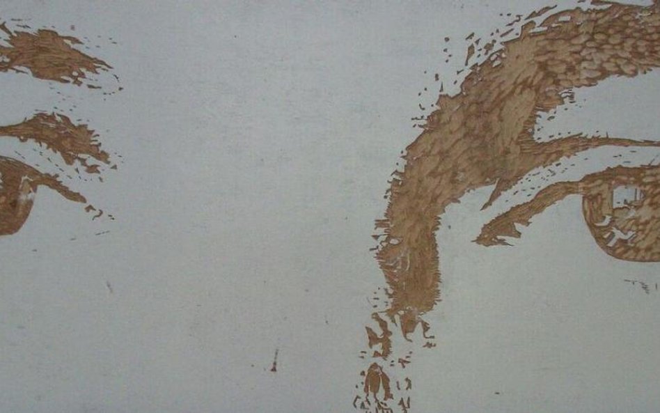 Joanna Trzcińska, Deska Drzeworytnicza