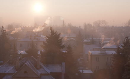 Smog w polskich miastach wynika w głównej mierze z ogrzewania domów za pomocą węgla i innych paliw s