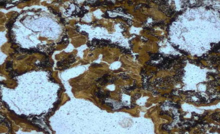 Stromatolity z Grenlandii są uznawane za najstarsze ślady życia na Ziemi