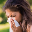 U chorych na alergiczny nieżyt nosa wielokrotnie rośnie ryzyko rozwoju astmy