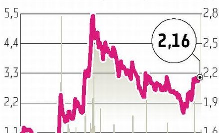Nawet 100 mln zł obrotów Żurawi