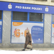 PKO BP stresów się nie boi