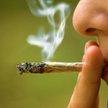 Izrael nie będzie karać za używanie marihuany