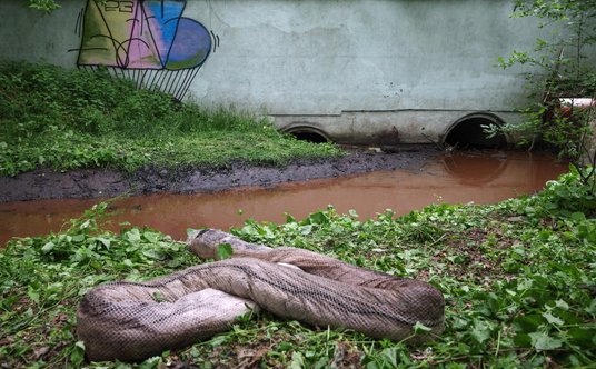 Zanieczyszczony ciek wodny Rów Michałkowicki w Siemianowicach Śląskich