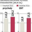 Śnieżka: Koniunktura wspiera wyniki grupy