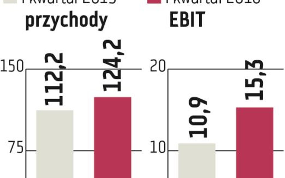 Śnieżka: Koniunktura wspiera wyniki grupy