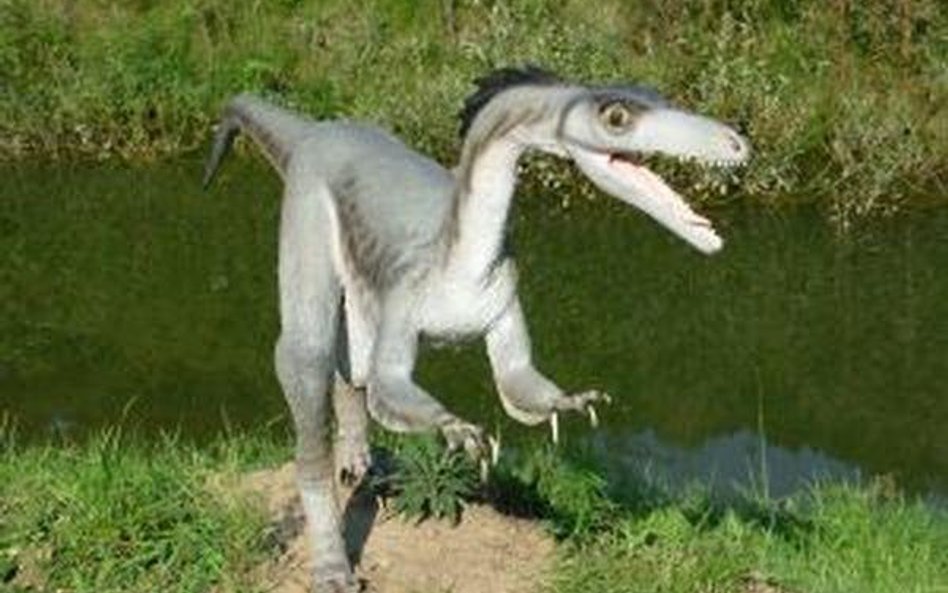 Dinopark się rozbudowuje