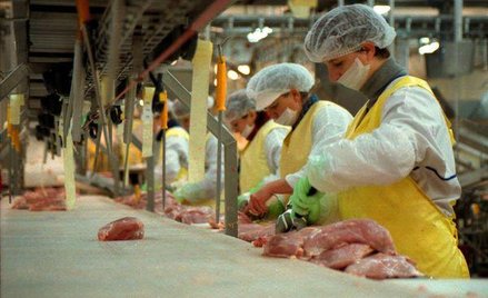 Aby utrzymać dobrą passę, branża, w tym giełdowy Indykpol, chce zdobyć Azję.