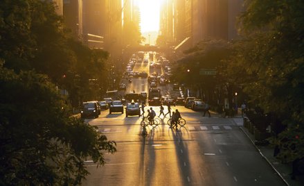 Apka pomoże uniknąć słońca w miejskiej dżungli