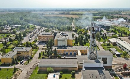 Analitycy pozytywnie o Bogdance