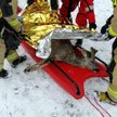 Niecodzienna akcja ratunkowa strażaków z Rzeszowa. Ratowali sarnę, która wpadła do Wisłoka, bo załam