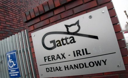 Gatta walczy o przetrwanie. Dobija ją koronawirus