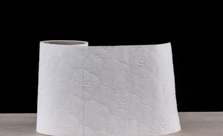 Zamiłowanie USA do papieru toaletowego niszczy lasy Kanady