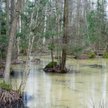 Odwołano ze stanowiska dyrektora Biebrzańskiego Parku Narodowego