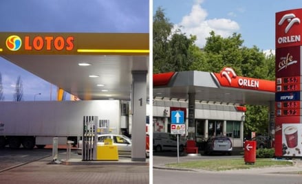 Dogonić Europę