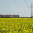 Ile kosztują pola
