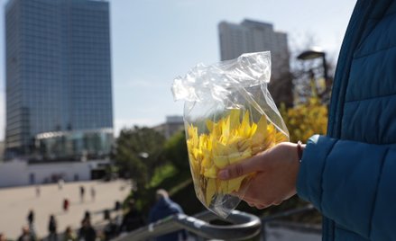 Akcja społeczno-edukacyjna "Żonkile" w Warszawie