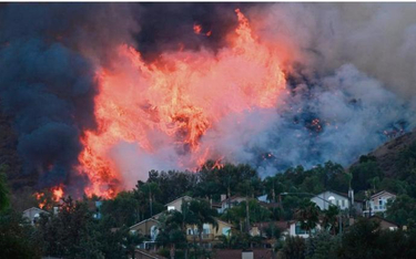 Zmiany klimatu powodują powstawanie pożarów, które niosą za sobą znaczne straty środowiskowe i mater