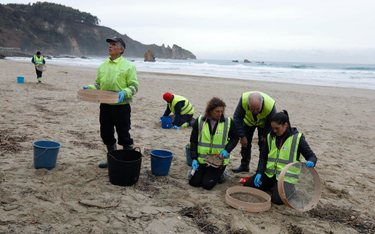 Mieszkańcy północy Hiszpanii pomagają służbom usuwać granulat z plaż. Ludzie przynoszą własne wiadra