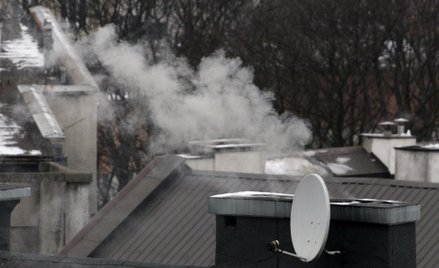 Właśnie rusza rządowy program Czyste Powietrze Plus