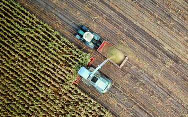Rolnictwo czekają reformy. Jak mają wyglądać? Potrzebny Pakt