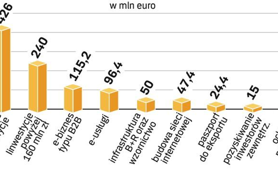 W 2009 r. pula do podziału z programu „Innowacyjna gospodarka” wyniesie ponad 1 mld euro, najwięcej 