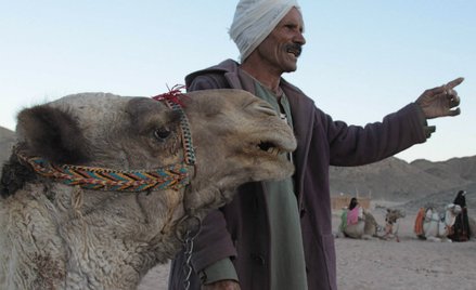 Wyborczy hit PSL trafił do Egiptu
