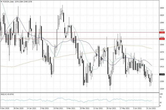 Notowania kakao w USA – dane dzienne