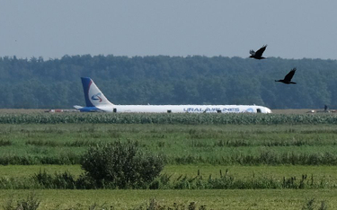 Airbus, który w zeszłym tygodniu wylądował na polu kukurydzy przy lotnisku w Moskwie