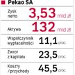 Zarząd banku chwalił się, że w niepewnych czasach udało mu się utrzymać zysk netto za zeszły rok na 